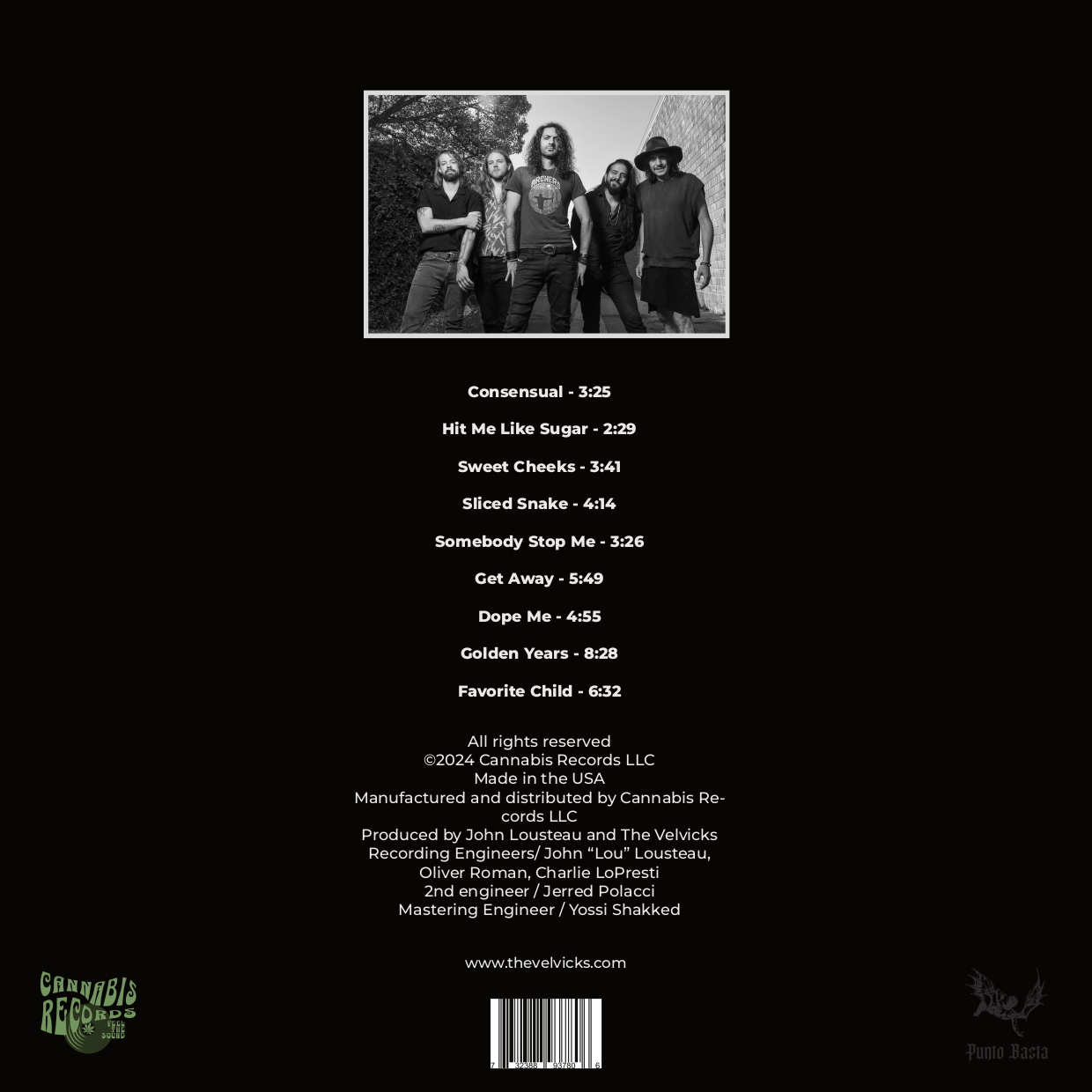 Greatest Hits by The Velvicks (Vinyl)