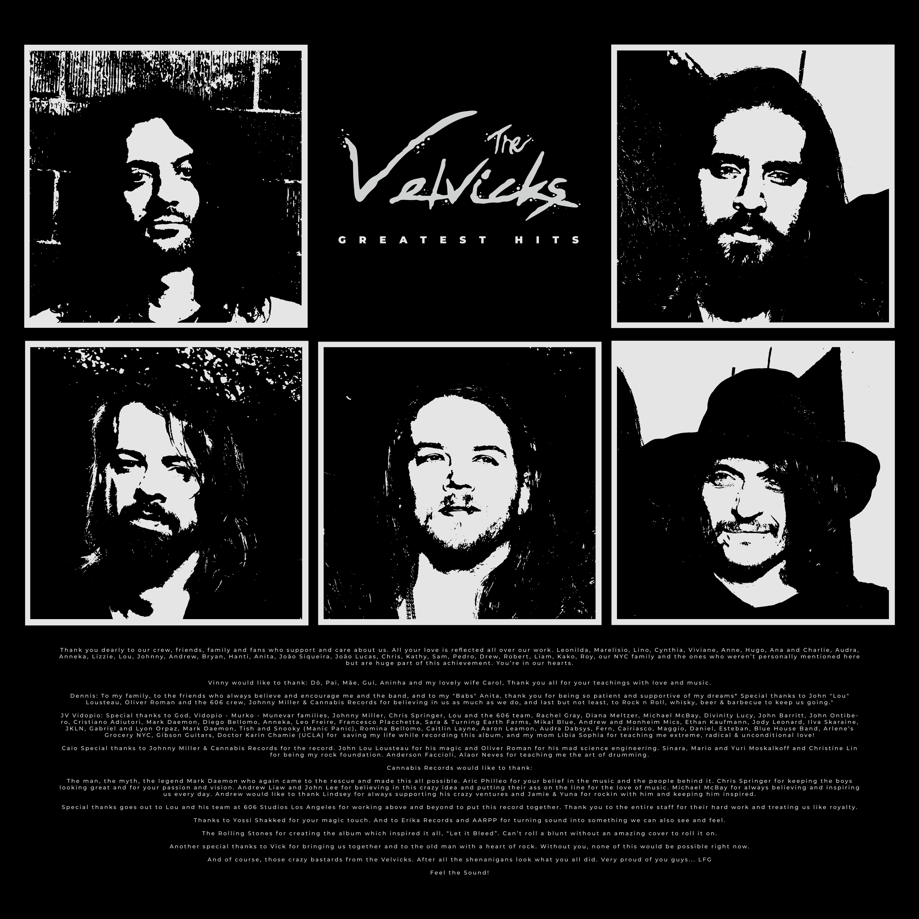 Greatest Hits by The Velvicks (Vinyl)